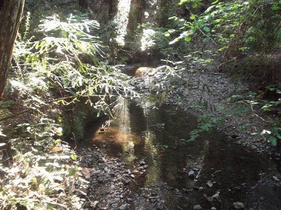 Photography: Beautiful Lanscape