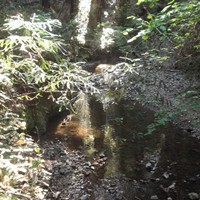 Портфолио LaShawn Nydam