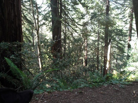 Photography: Beautiful Lanscape