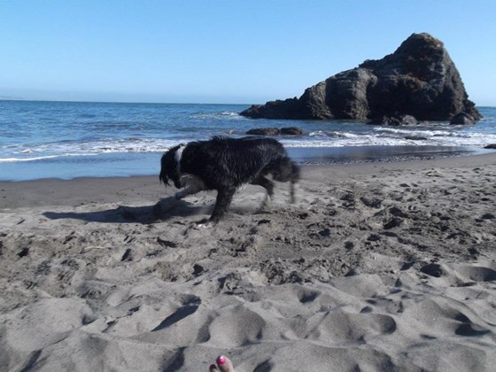 Photography: Beautiful Lanscape