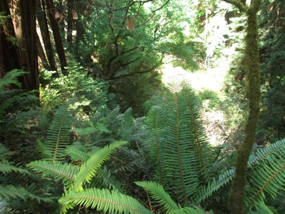 Photography: Beautiful Lanscape