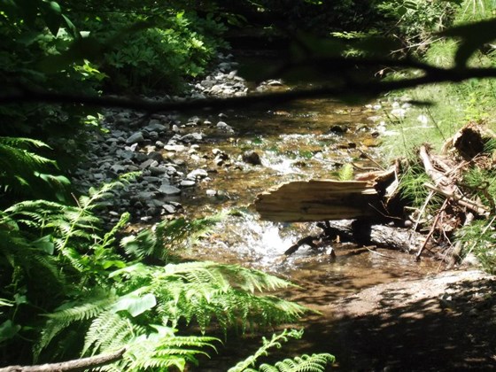 Photography: Beautiful Lanscape