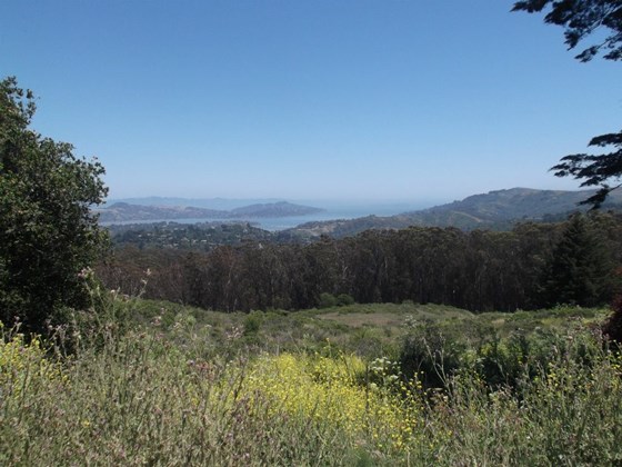 Photography: Beautiful Lanscape