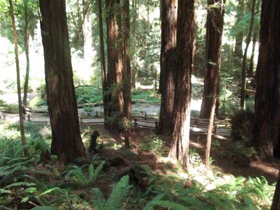 Photography: Beautiful Lanscape