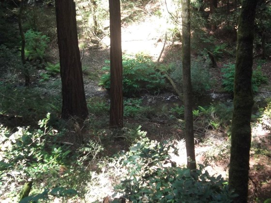 Photography: Beautiful Lanscape