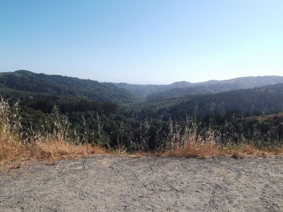 Photography: Beautiful Lanscape