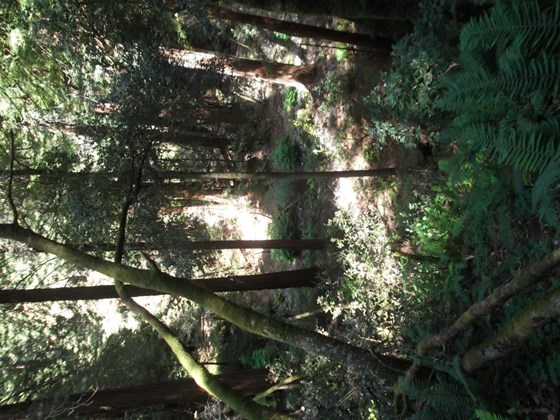 Photography: Beautiful Lanscape