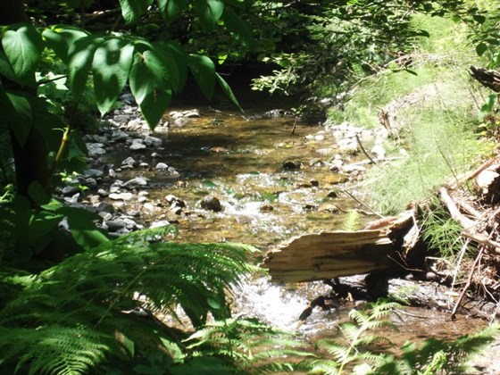 Photography: Beautiful Lanscape