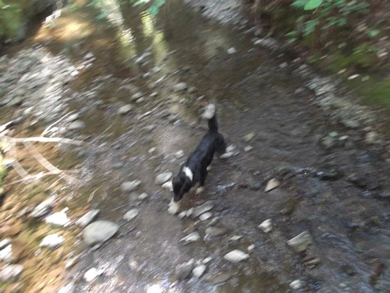 Photography: Beautiful Lanscape