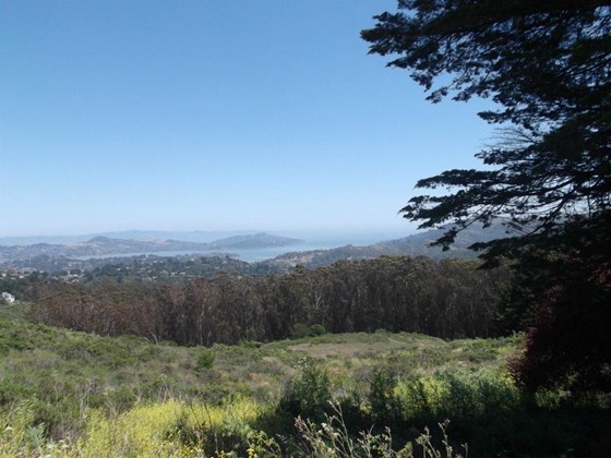 Photography: Beautiful Lanscape