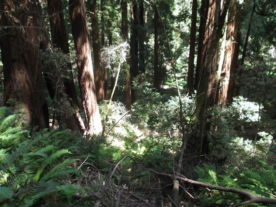 Photography: Beautiful Lanscape