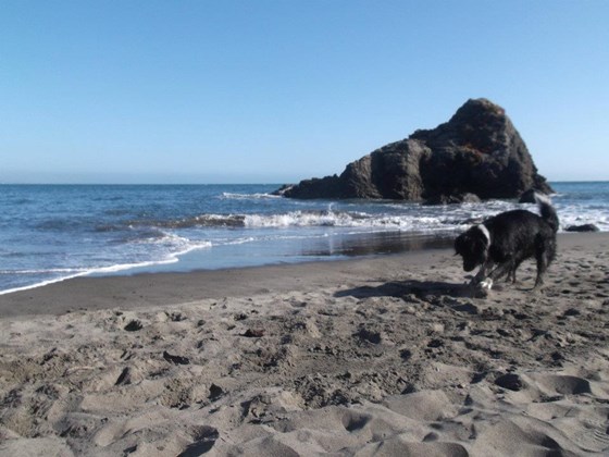 Photography: Beautiful Lanscape