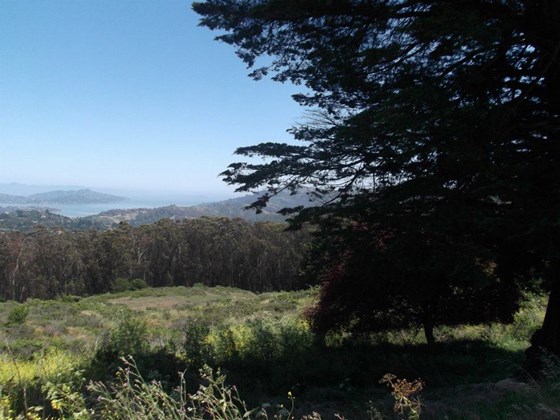 Photography: Beautiful Lanscape