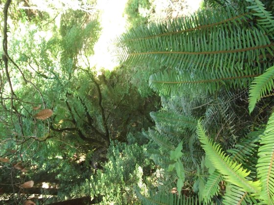 Photography: Beautiful Lanscape